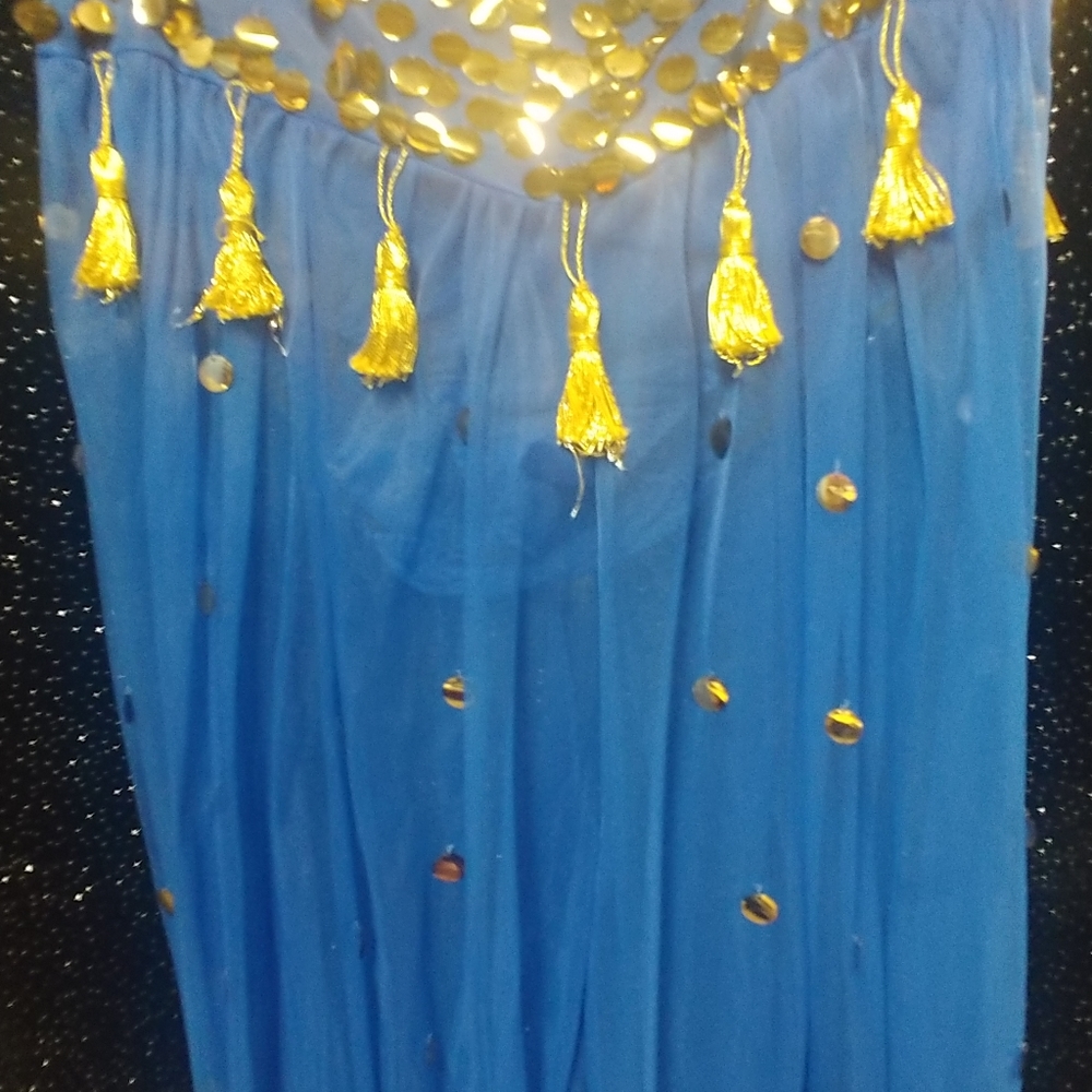 Belly Dance Vintage Pants